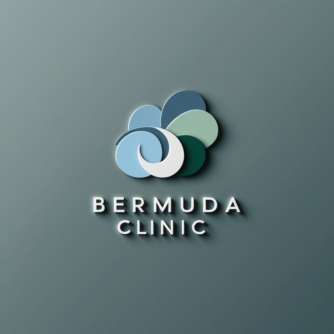 Bermuda Clinic Logo